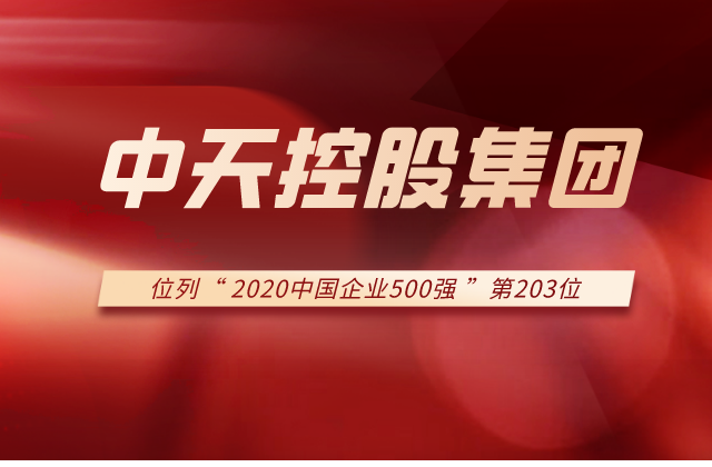 PG国际集团列2020中国企业500强第203位！